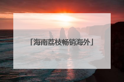 海南荔枝畅销海外