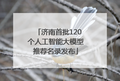 济南首批120个人工智能大模型推荐名录发布