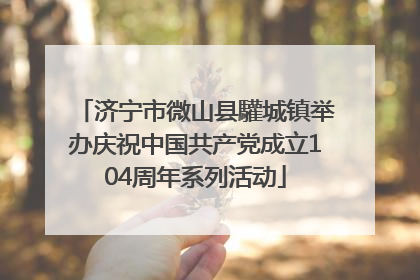 济宁市微山县驩城镇举办庆祝中国共产党成立104周年系列活动