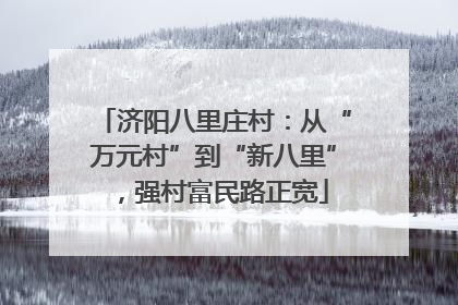 济阳八里庄村：从“万元村”到“新八里”，强村富民路正宽