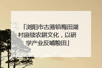 浏阳市古港镇梅田湖村赓续农耕文化，以研学产业反哺粮田