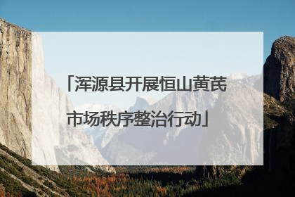 浑源县开展恒山黄芪市场秩序整治行动