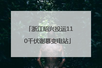 浙江绍兴投运110千伏谢慕变电站
