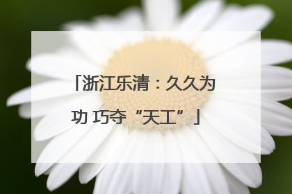 浙江乐清：久久为功 巧夺“天工”