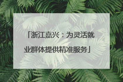 浙江嘉兴：为灵活就业群体提供精准服务