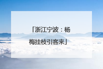 浙江宁波：杨梅挂枝引客来