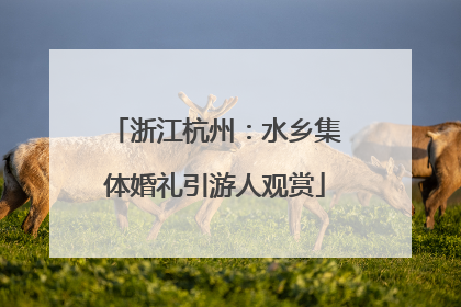 浙江杭州：水乡集体婚礼引游人观赏