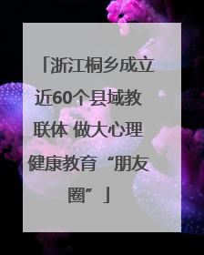 浙江桐乡成立近60个县域教联体 做大心理健康教育“朋友圈”