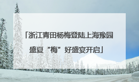 浙江青田杨梅登陆上海豫园 盛夏“梅”好盛宴开启