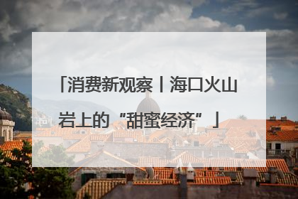 消费新观察丨海口火山岩上的“甜蜜经济”