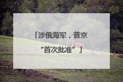 涉俄海军，普京“首次批准”
