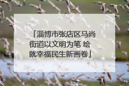 淄博市张店区马尚街道以文明为笔 绘就幸福民生新画卷