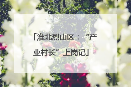 淮北烈山区：“产业村长”上岗记