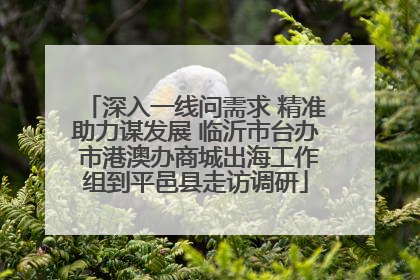 深入一线问需求 精准助力谋发展 临沂市台办 市港澳办商城出海工作组到平邑县走访调研