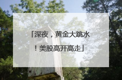 深夜，黄金大跳水！美股高开高走
