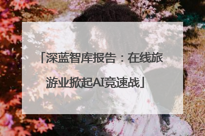 深蓝智库报告：在线旅游业掀起AI竞速战