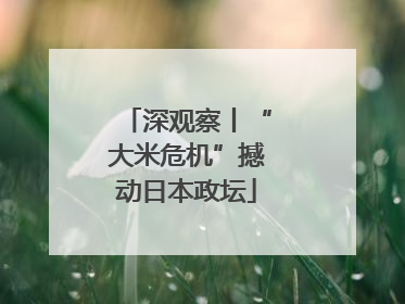 深观察丨“大米危机”撼动日本政坛