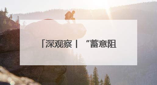 深观察丨“蓄意阻碍平民获得人道援助同样构成战争罪”