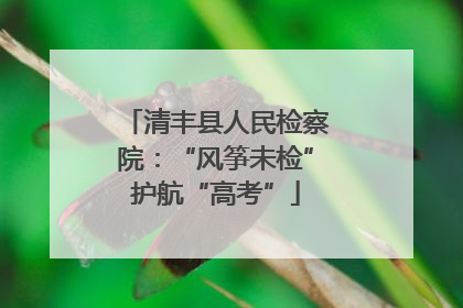 清丰县人民检察院：“风筝未检”护航“高考”