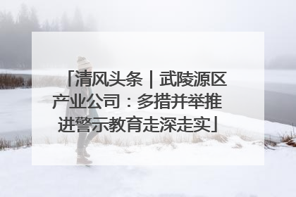 清风头条｜武陵源区产业公司：多措并举推进警示教育走深走实