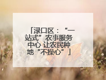 渌口区：“一站式”农事服务中心 让农民种地“不操心”