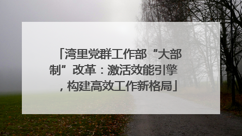 湾里党群工作部“大部制”改革：激活效能引擎，构建高效工作新格局
