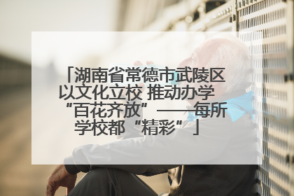 湖南省常德市武陵区以文化立校 推动办学“百花齐放”——每所学校都“精彩”