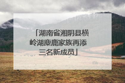 湖南省湘阴县横岭湖麋鹿家族再添三名新成员