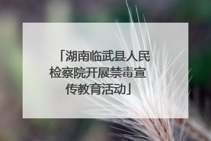 湖南临武县人民检察院开展禁毒宣传教育活动
