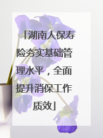 湖南人保寿险夯实基础管理水平，全面提升消保工作质效