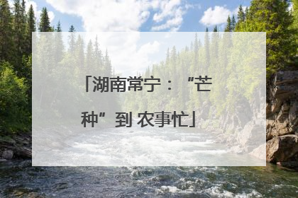 湖南常宁：“芒种”到 农事忙