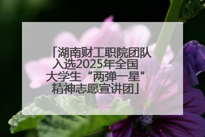 湖南财工职院团队入选2025年全国大学生“两弹一星”精神志愿宣讲团