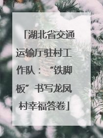 湖北省交通运输厅驻村工作队：“铁脚板”书写龙凤村幸福答卷