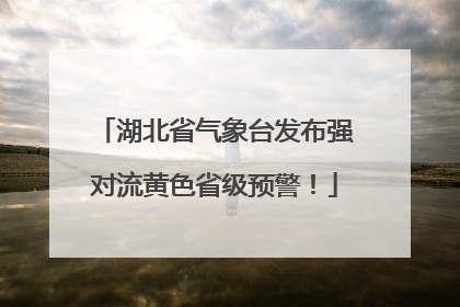 湖北省气象台发布强对流黄色省级预警！