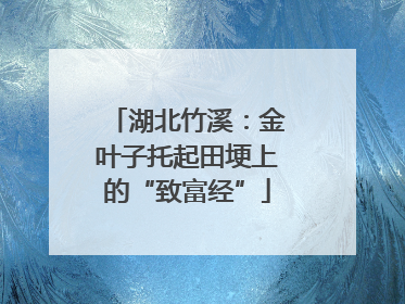 湖北竹溪：金叶子托起田埂上的“致富经”
