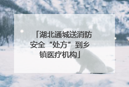 湖北通城送消防安全“处方”到乡镇医疗机构