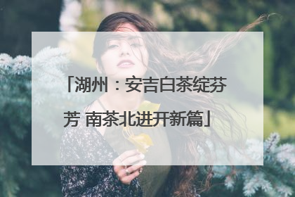 湖州：安吉白茶绽芬芳 南茶北进开新篇