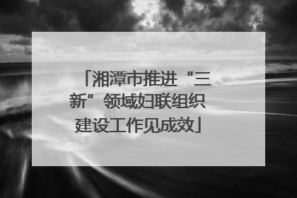 湘潭市推进“三新”领域妇联组织建设工作见成效