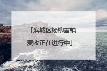 滨城区杨柳雪镇麦收正在进行中