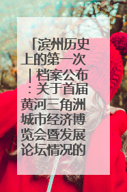 滨州历史上的第一次｜档案公布：关于首届黄河三角洲城市经济博览会暨发展论坛情况的总结报告