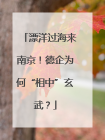 漂洋过海来南京！德企为何“相中”玄武？