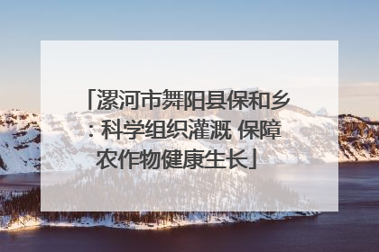 漯河市舞阳县保和乡：科学组织灌溉 保障农作物健康生长