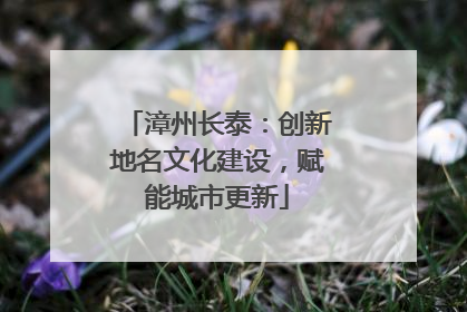 漳州长泰：创新地名文化建设，赋能城市更新