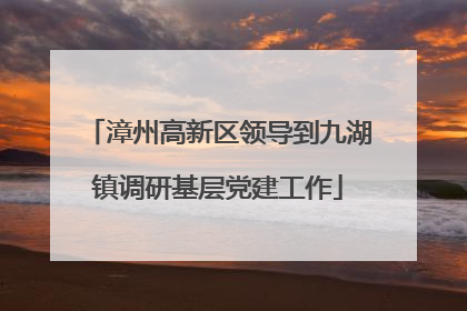 漳州高新区领导到九湖镇调研基层党建工作