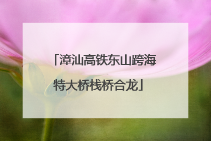 漳汕高铁东山跨海特大桥栈桥合龙