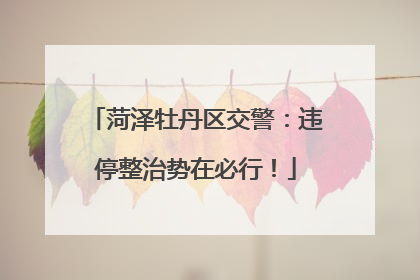 菏泽牡丹区交警：违停整治势在必行！