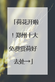 荷花开啦！郑州十大免费赏荷好去处→