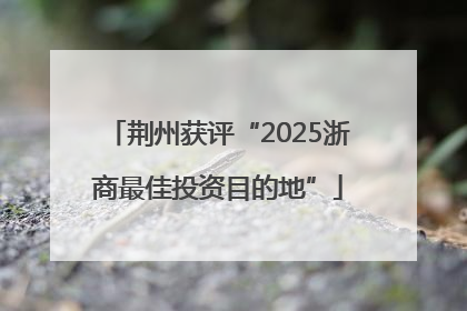 荆州获评“2025浙商最佳投资目的地”