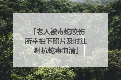 老人被毒蛇咬伤 所幸拍下照片及时注射抗蛇毒血清