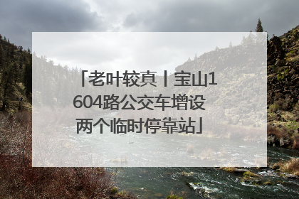 老叶较真丨宝山1604路公交车增设两个临时停靠站
